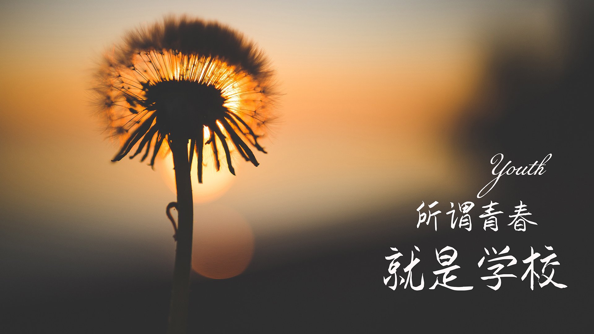 乐鱼体育官网注册-中超球队进攻效率分析，中超各球队支出